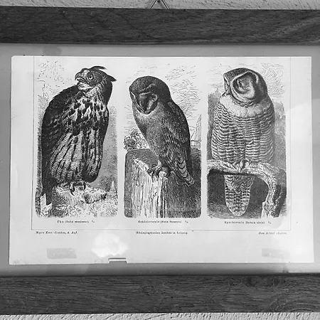 Dom Pod Sowa مزرعة للإقامة *