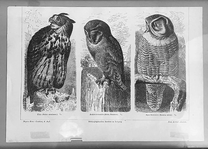 Dom Pod Sowa Alojamento de Turismo Rural *